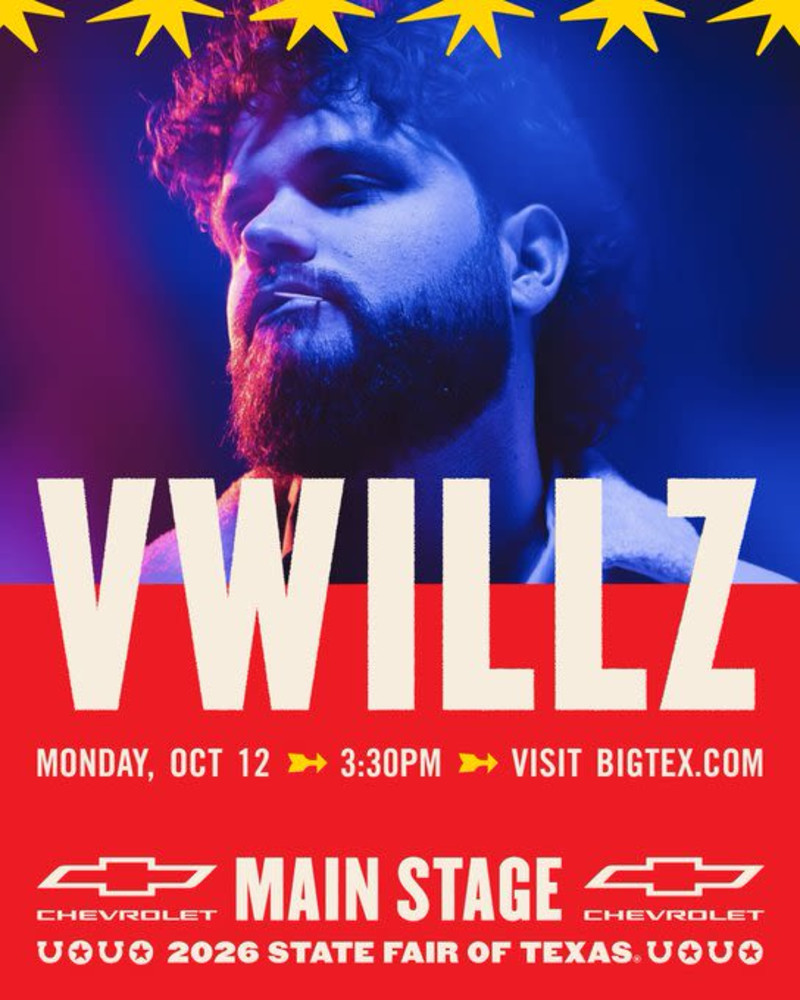 Vwillz
