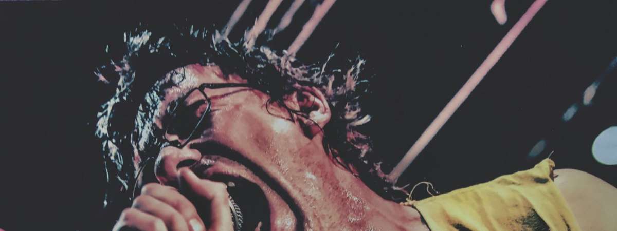 Subhumans