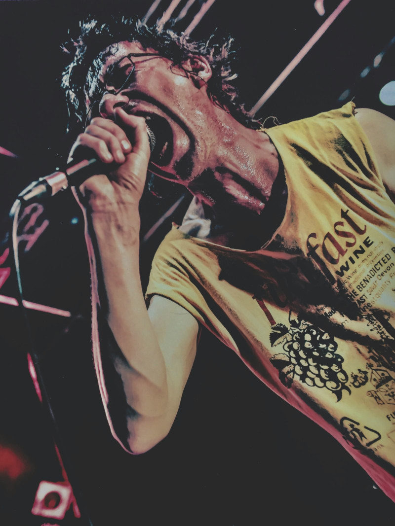 Subhumans