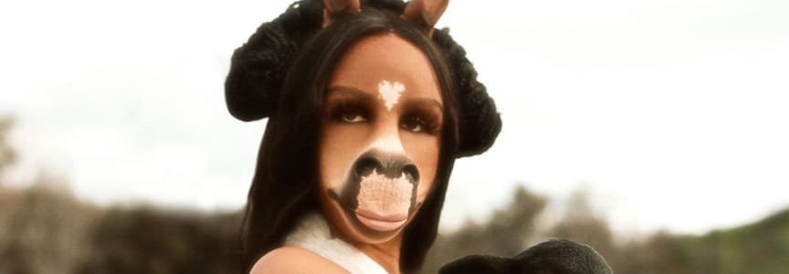 horsegiirL