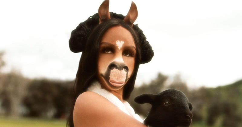 horsegiirL