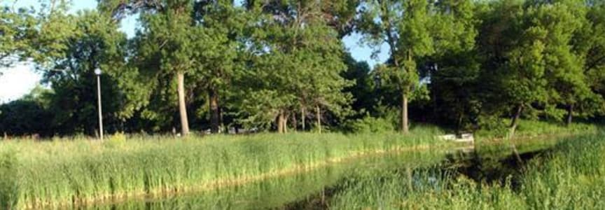 Family Fishing