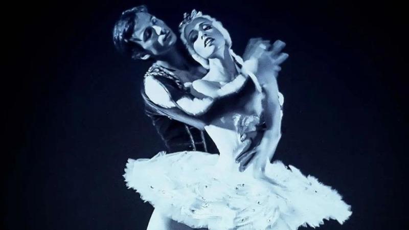 The Swan Lake: Symphony of Lights
