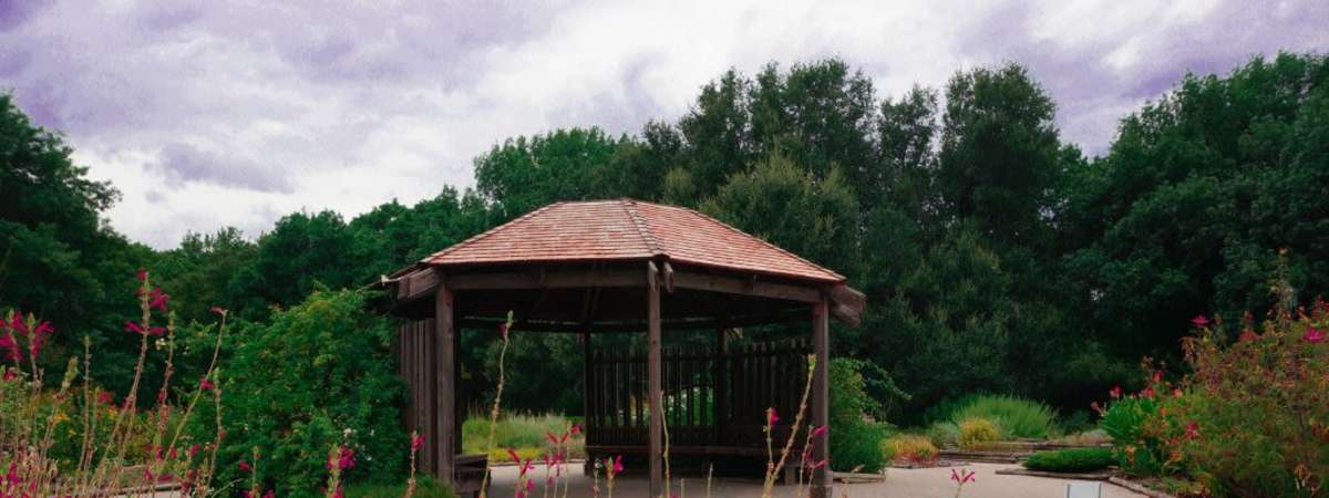 Spanish Speaking Tour of the Botanical Research Institute of Texas: July 31