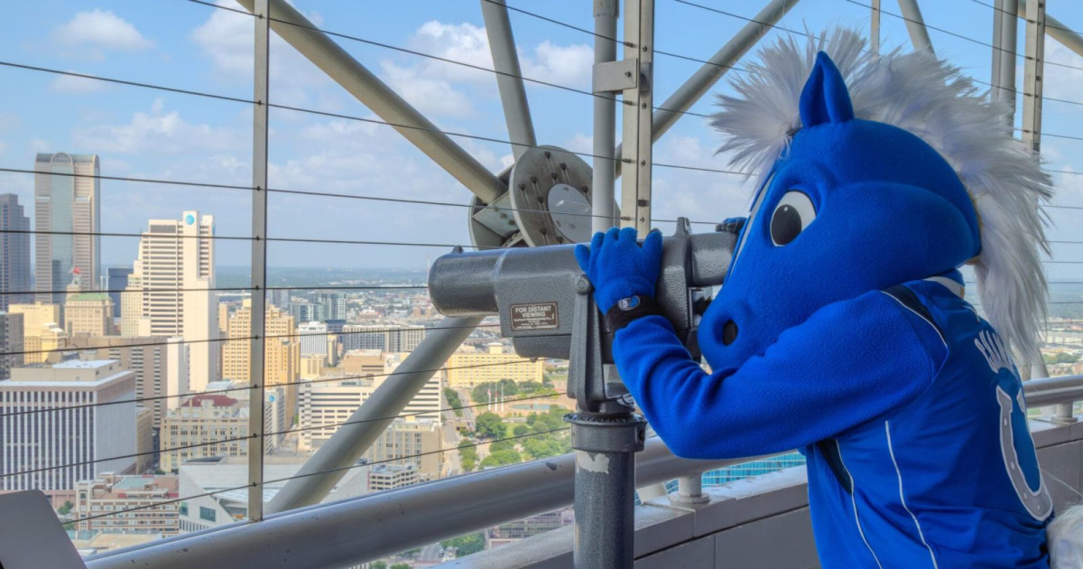 Tower Racing Mascot Summer at Reunion Tower | Mavs Mascot Champ in Dallas at Reunion