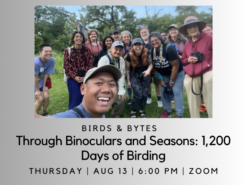 Birds & Bytes: Through Binoculars and Seasons: 1,200 Days of Birding