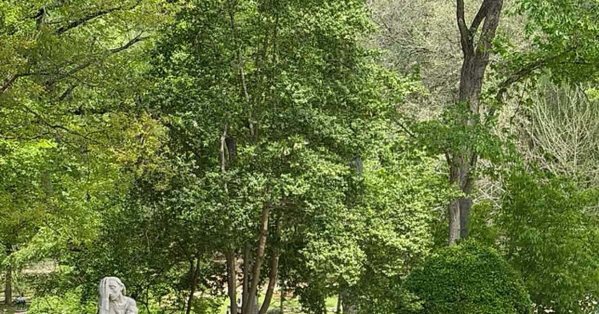 Family Day: Rooted at the UMLAUF 2
