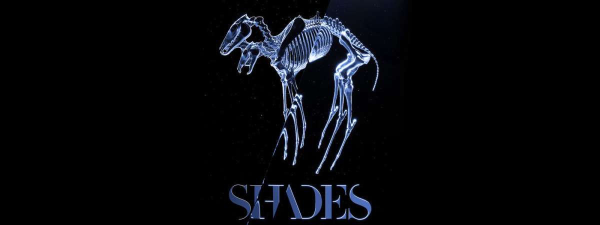 Shades