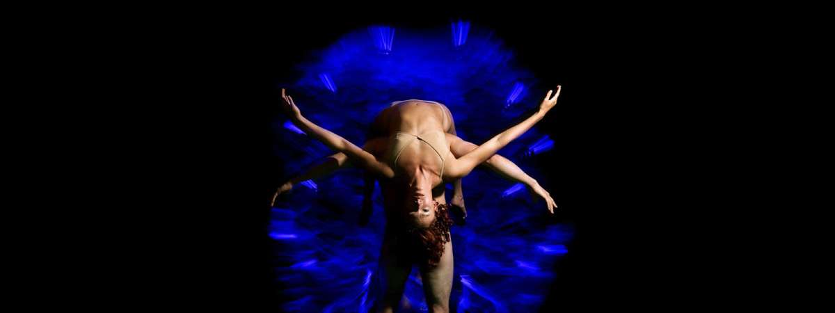 PILOBOLUS: Trips