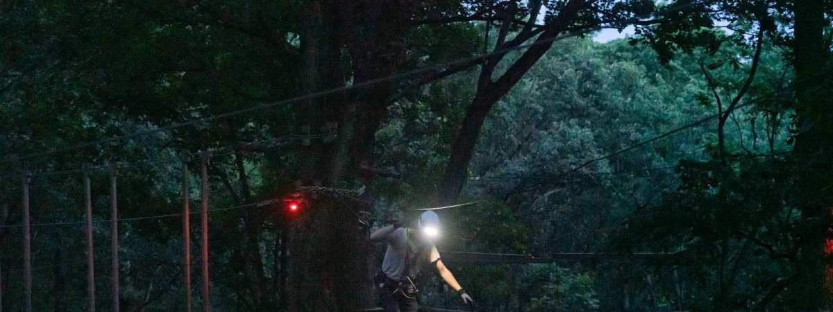 Neon Night Ropes