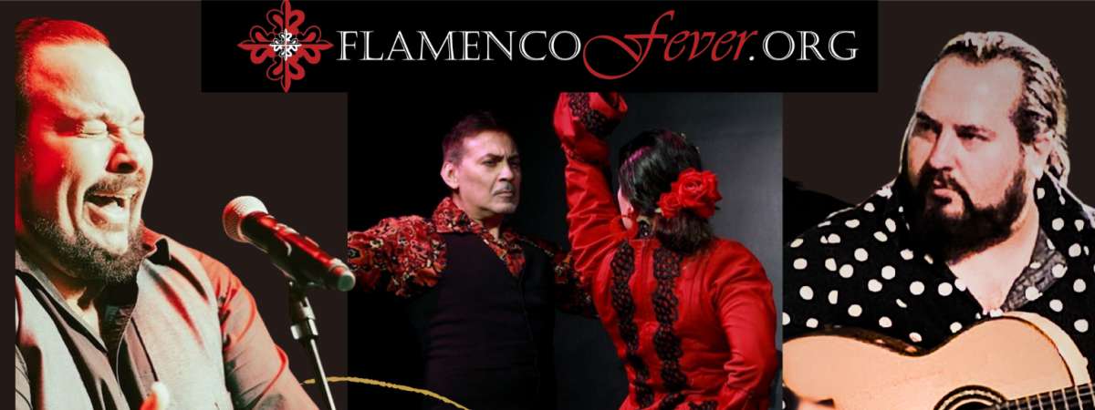 Flamenco Fever