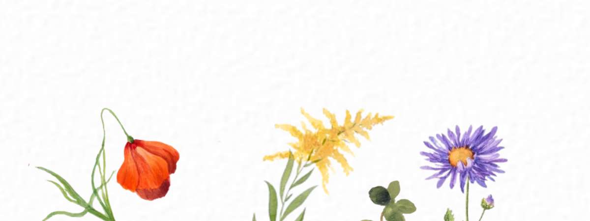 Watercolor Workshop: Fall Florals & Foliage