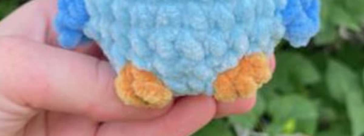 Crochet Workshop: Native Eastern Bluebird (Amigurumi)