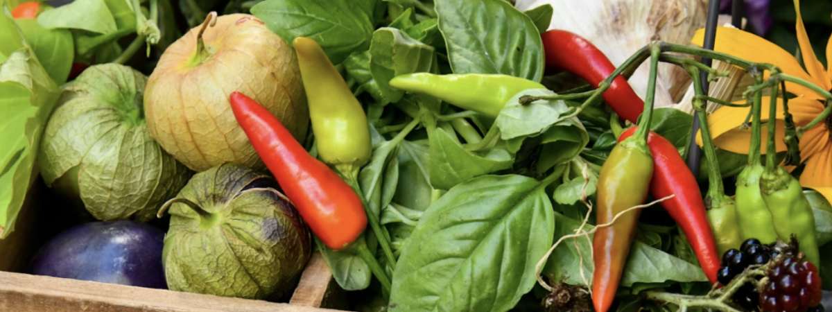 Market to Table