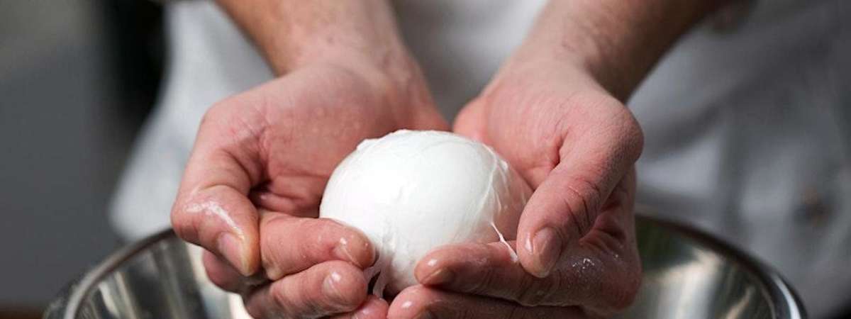 Hands-On: Mozzarella