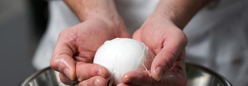 Hands-On: Mozzarella