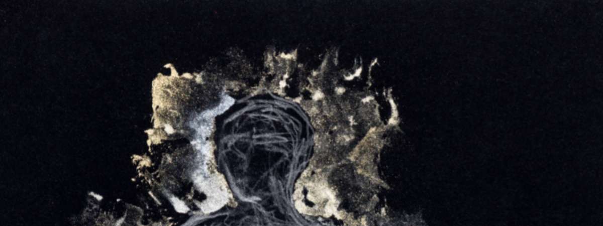 Exhibition Reception: "Translucency Contained"