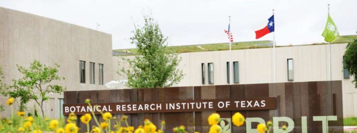 Recorrido del Instituto de Investigación Botánica de Texas (BRIT): 13 de Julio