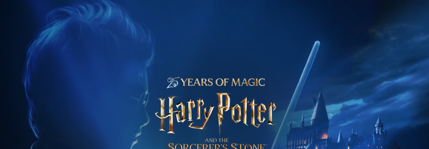Harry Potter and the Sorcerer's Stone in Shared Reality