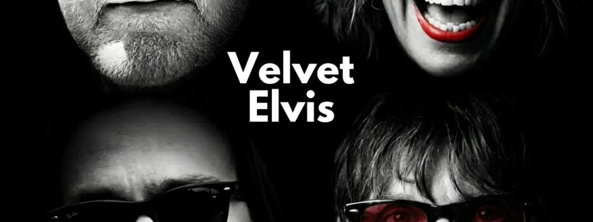 Velvet Elvis