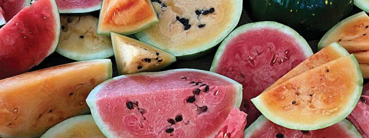 Dallas’ Original Watermelon Day®