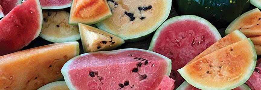Dallas’ Original Watermelon Day®