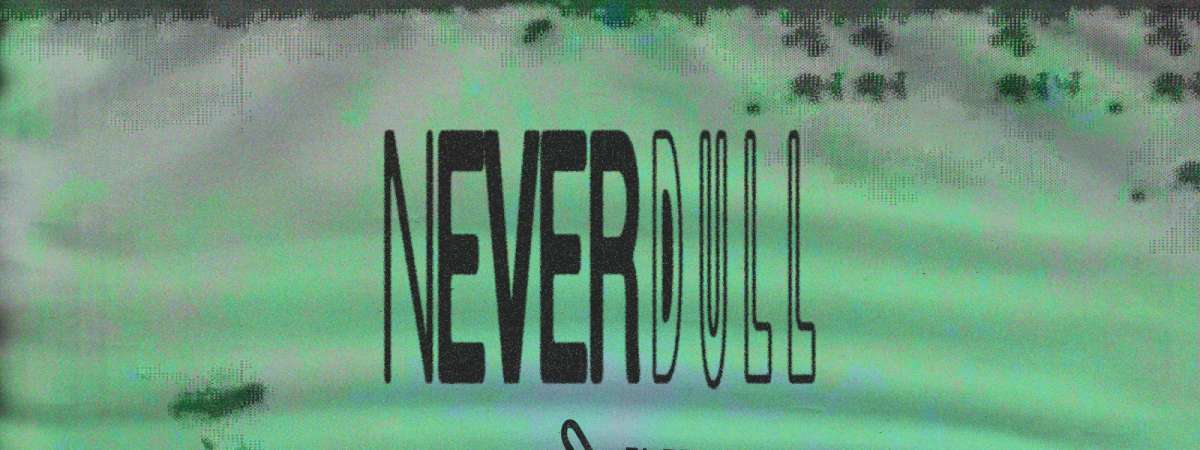 Never Dull
