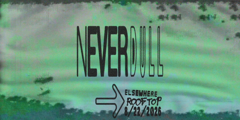 Never Dull