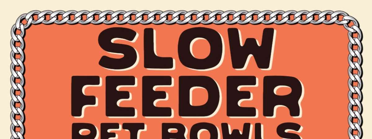 Slow Feeder Pet Bowls