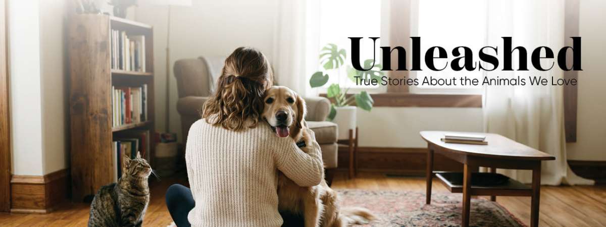 Unleashed: True Stories About the Animals We Love