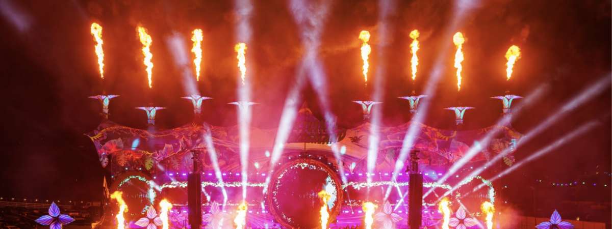 Nocturnal Wonderland
