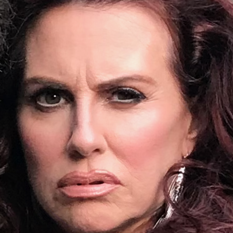 Megan Mullally and her band, Nancy And Beth