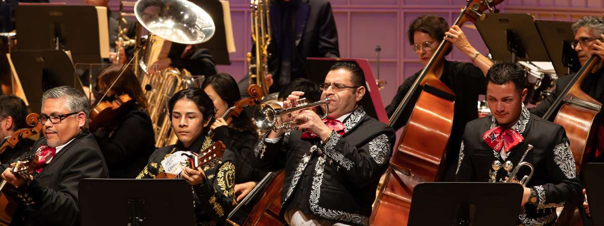 Día de los Muertos with the DSO
