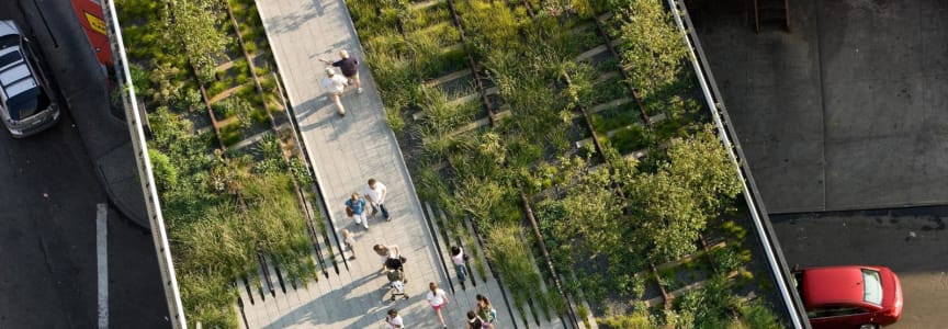 High Line Tour: From Freight to Flowers