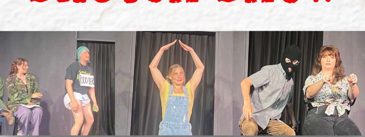 Writers Wing Sketch Show