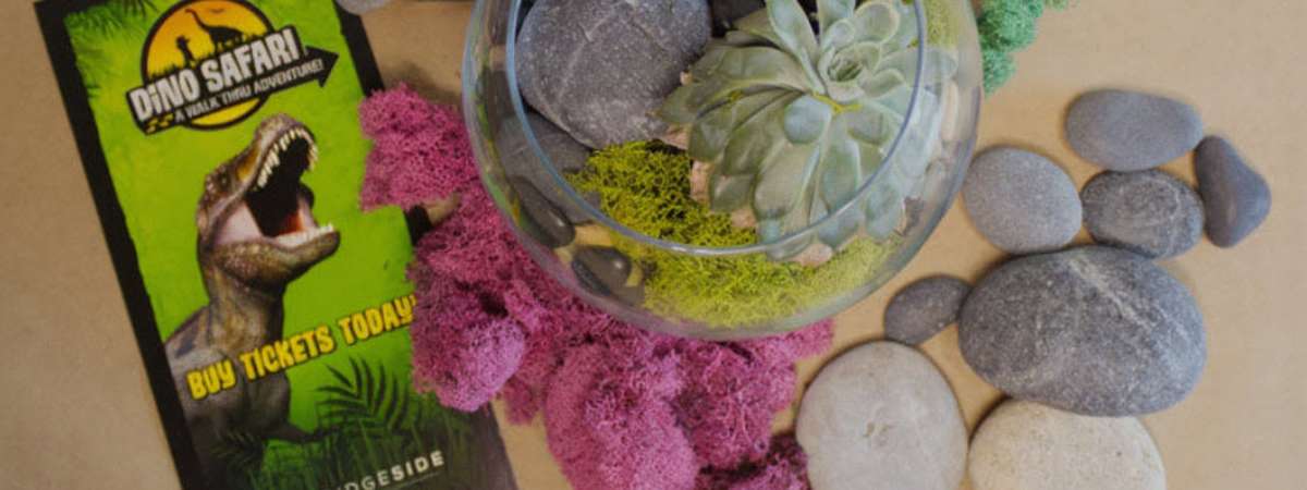Calling All Dino Fans! (Cambridge)