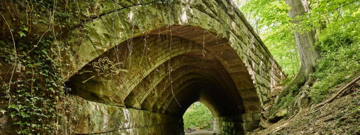 Trolley Trail Hike