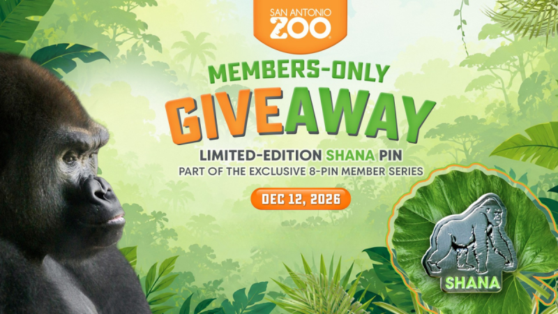 Member Giveaway Pin Day