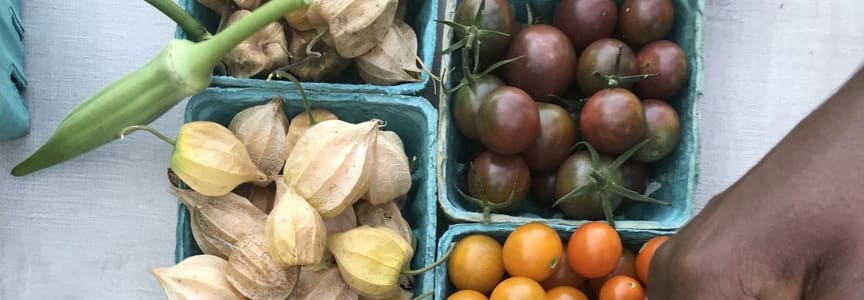 Sankofa Farm Stand at Clark Park