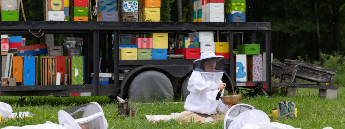 Bee Still Meditation