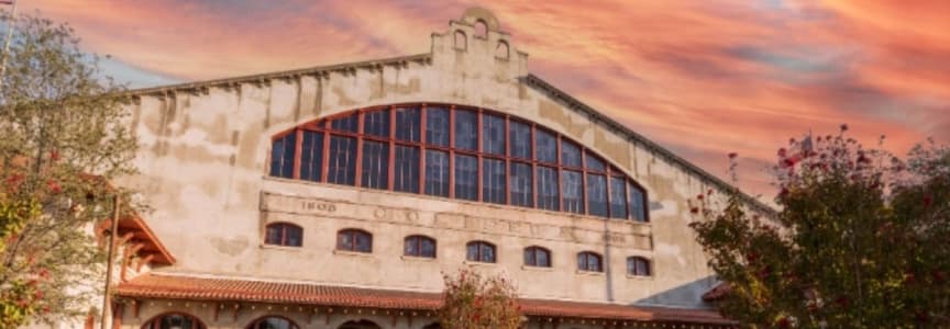 Legacy of the Longhorn