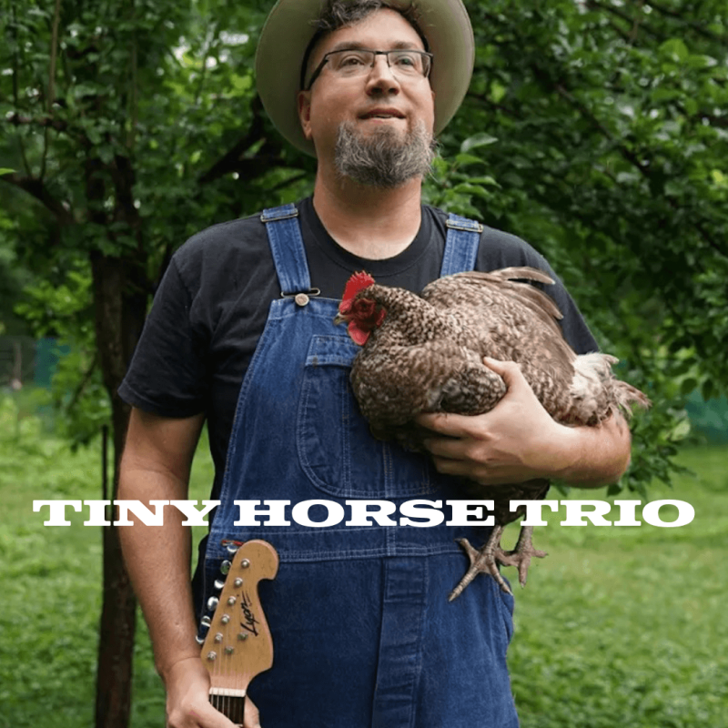 Tiny Horse Trio