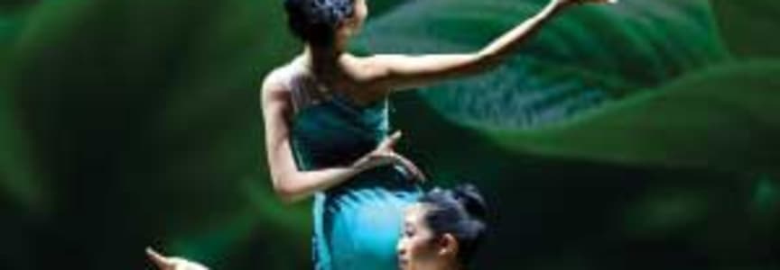 Asia To the World Produced By Dance Of Asian America