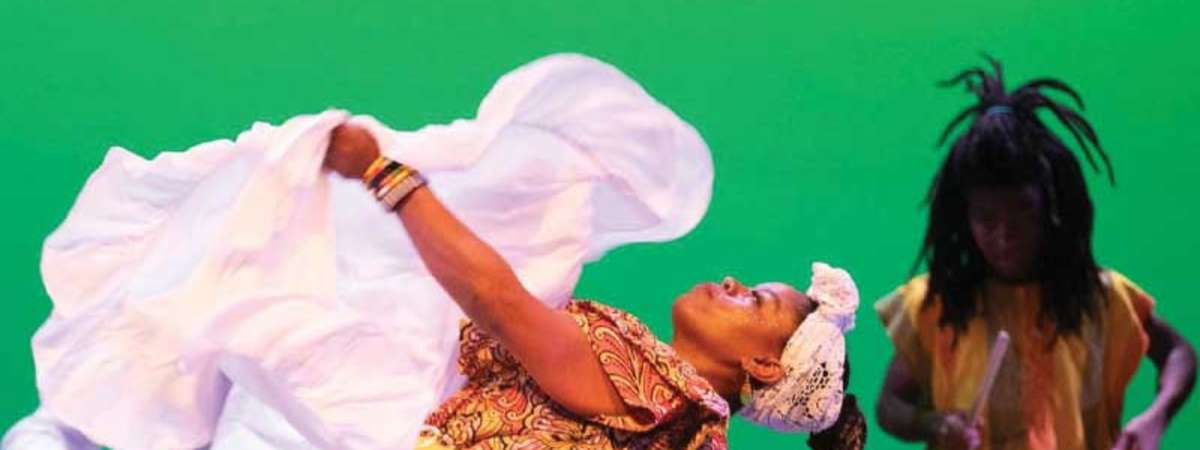 Pan African Passport Presented by Young Audiences of Houston