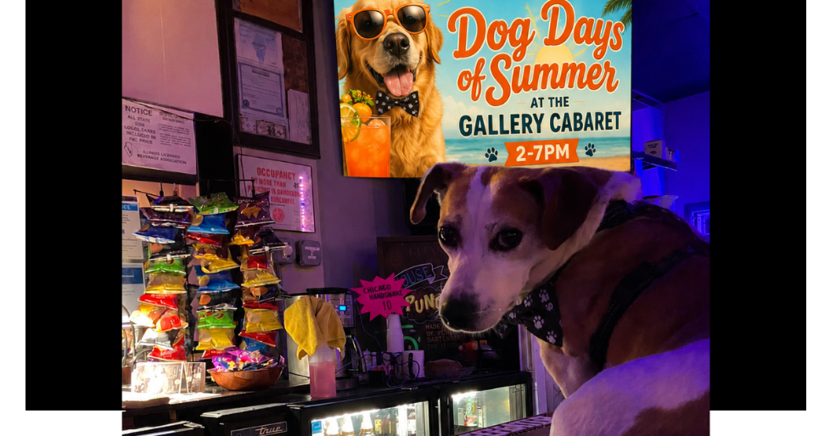 Dog Days of Summer!