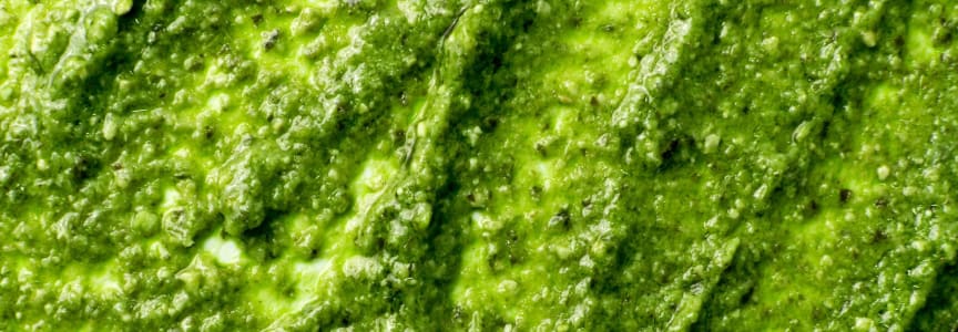Hands-On: Pesto alla Genovese