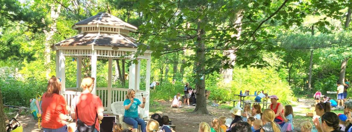 Stories in the Forest