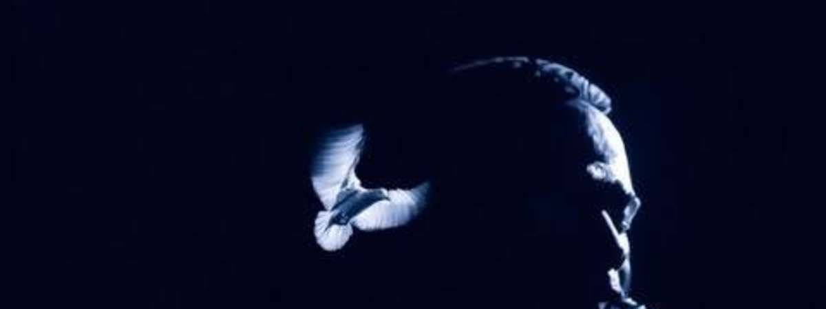 Bird (1988)