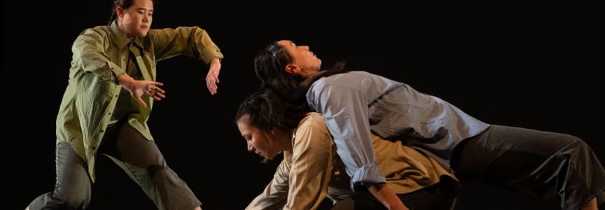 How to Make a Passive Dance: An immersive dance performance by SanSan Kwan