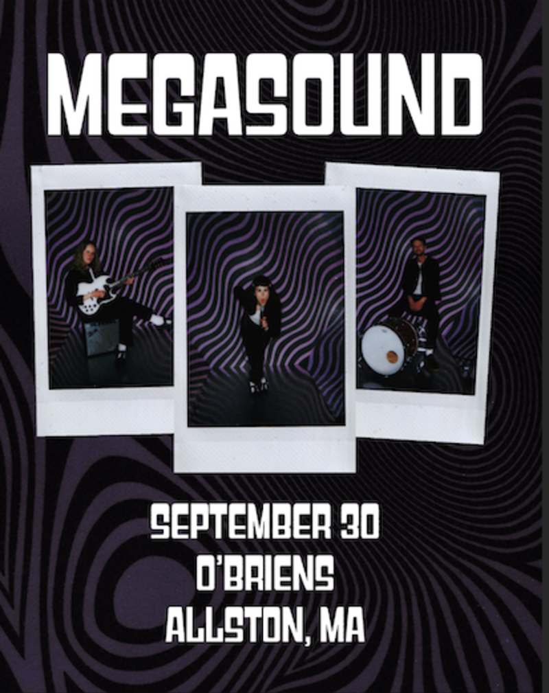 Megasound